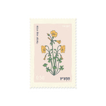 יולטה גלויה בול